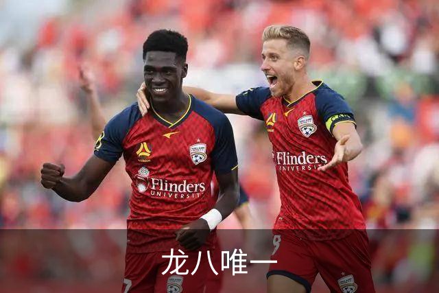 龙八唯一